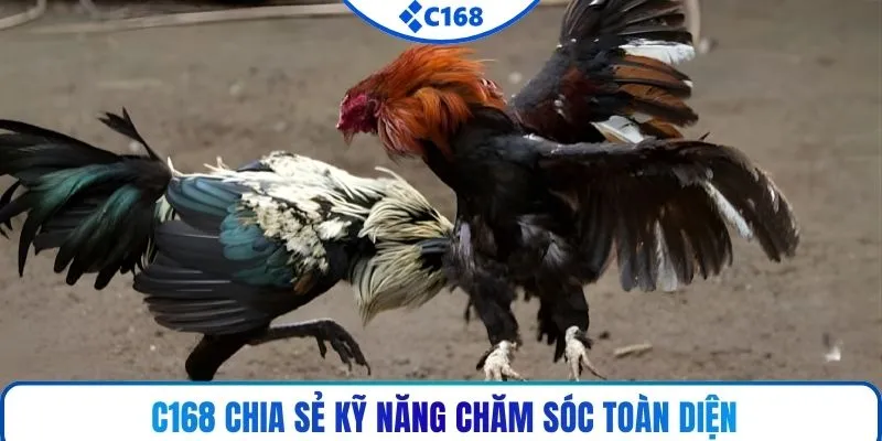 C168 chia sẻ kỹ năng chăm sóc toàn diện